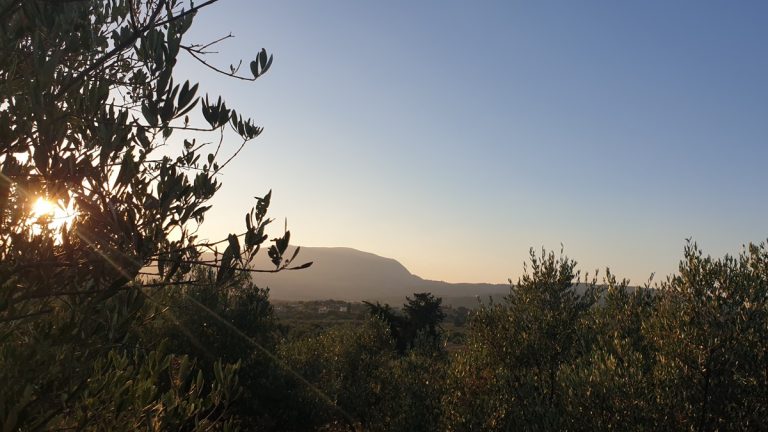 20190820_193709.jpg